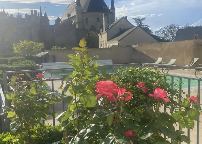 Hotel Le Relais Du Bellay Montreuil-Bellay