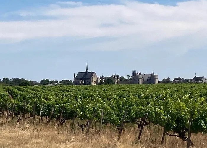 Hotel Le Relais Du Bellay